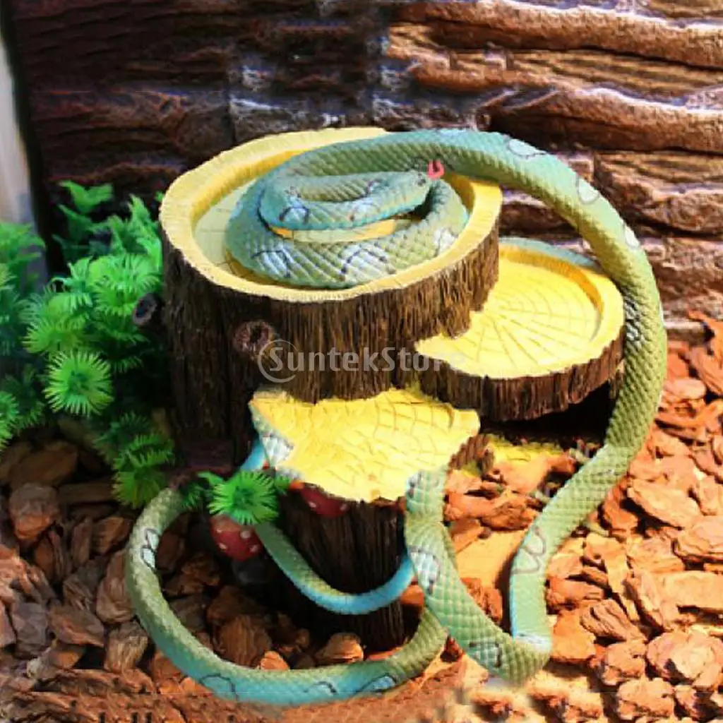 Neherp Vivarium Builder 18x18x36 Enclosure My Snake Vivarium Fully Decorated