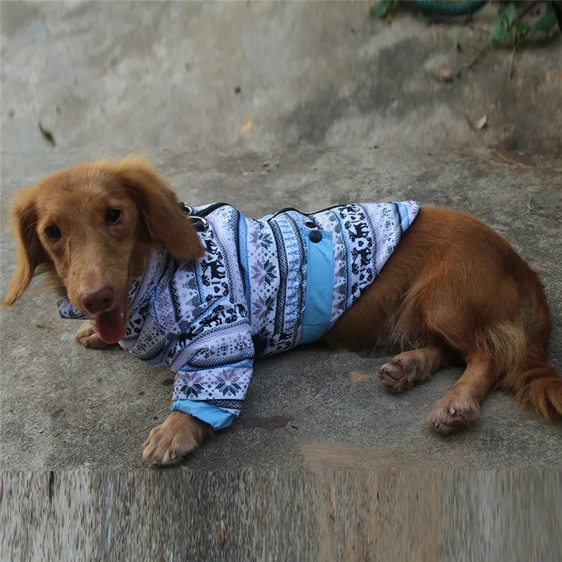 Одежда для домашних животных на Хэллоуин, одежда для собак с двумя ножками, зимняя куртка с капюшоном для собак, куртка с капюшоном для маленьких собак, черная/белая одежда для чихуахуа