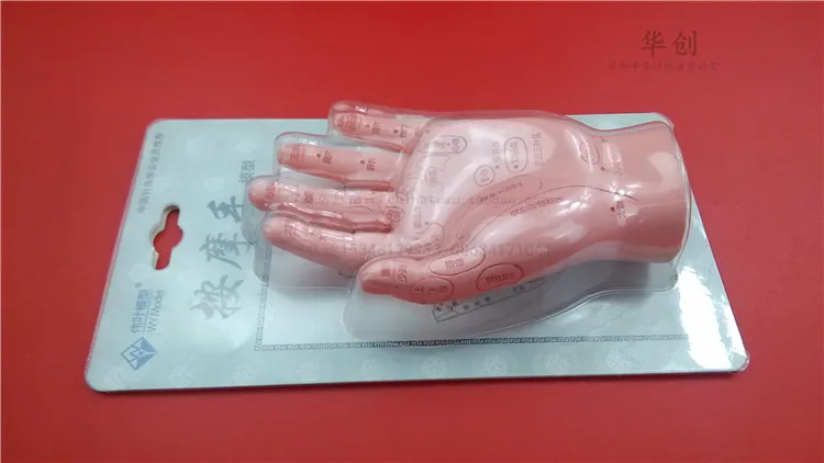 HD Human Acupuncture Palm hard Model Hand Medical teach Meridian Acupoint Model 15CM Traditional Chinese Medical Teaching Model HD Human Acupuncture Palm hard Model Hand Medical teach Meridian Acupoint Model 15CM Traditional Chinese Medical Teaching Model