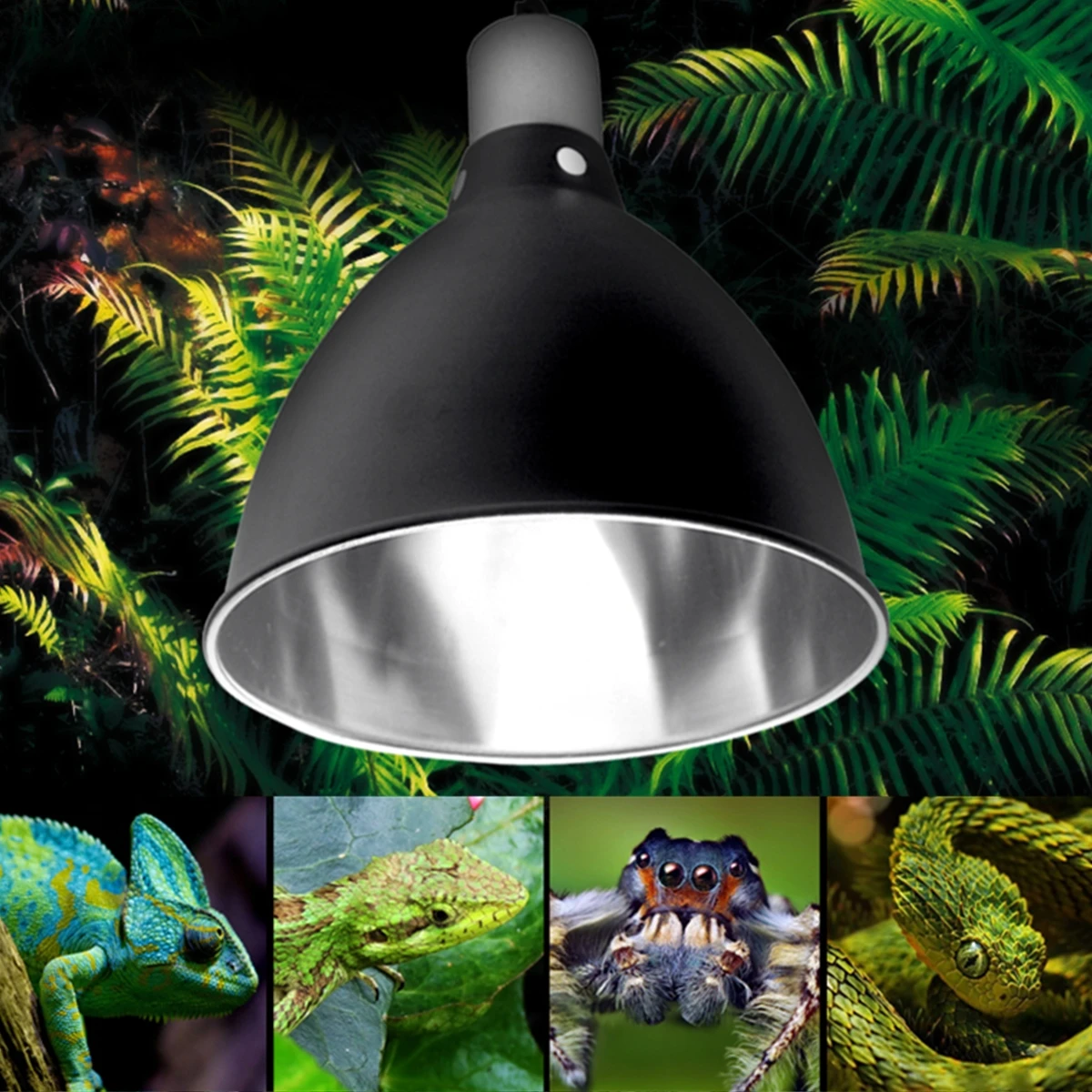 Kaufen E27 Keramik Wärme UV UVB Lampe Licht Halter Für Aquarium Amphibien Reptil Schildkröte Lampenschirm mit Schalter