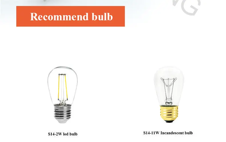 bulbs