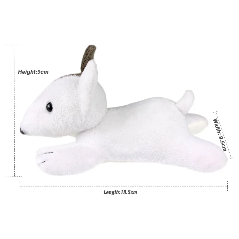 Bull terrier_size