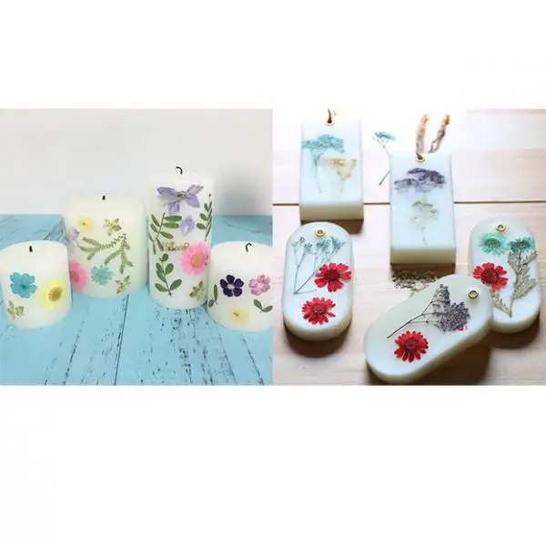 12 шт. натуральный Senecio Cineraria настоящий прессованный высушенный цветок DIY гербарий