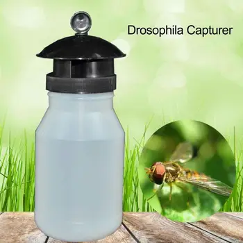 

Flycatcher Mosquito Trap Catcher Fruit Fly Catcher Trap Killer Insect Trap Melon Fruit Flies Sticky Fly Trapping Tool