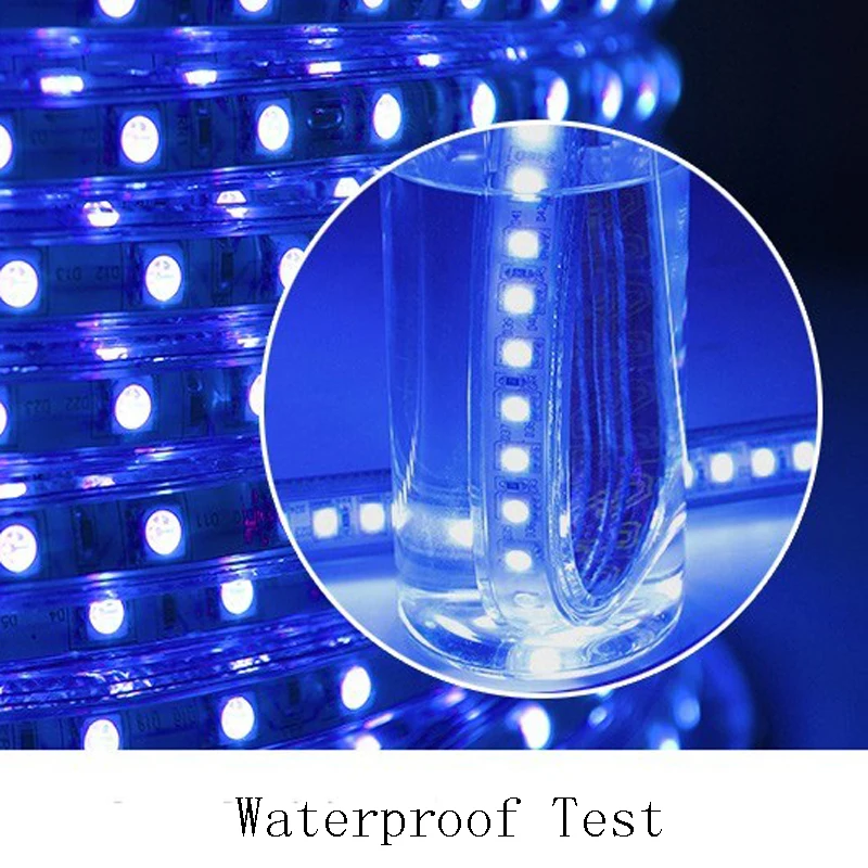 Beste Kopen Afstandsbediening Waterdichte RGB Led Strip 220 V Smd 5050 Tape Neon Light Lamp 60