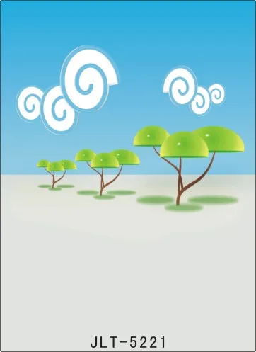 

300cm*300cm Vinyl Custom Photography Backdrops Prop Digital Photo Studio Background  S-5221