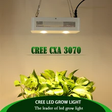 CREE CXA3070 200W 400W 800W COB светодиодный свет для выращивания полного спектра лампа для выращивания растений с питанием от источника фитолампа Фито лампы для комнатных растений подсветка для рассады