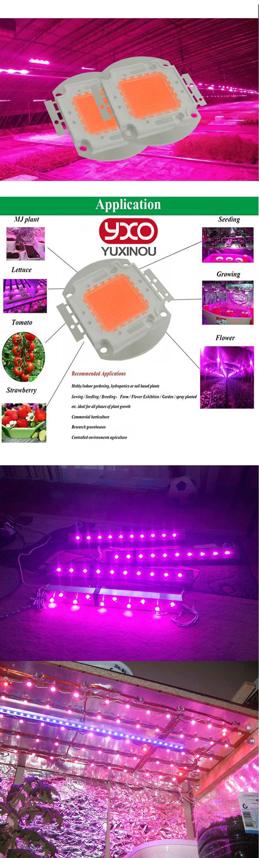 1 шт. 50 Вт 100 Вт 120 Вт привело растут чип полный спектр светодиод 30-34 В LED завод светать чип для комнатных растений посева расти