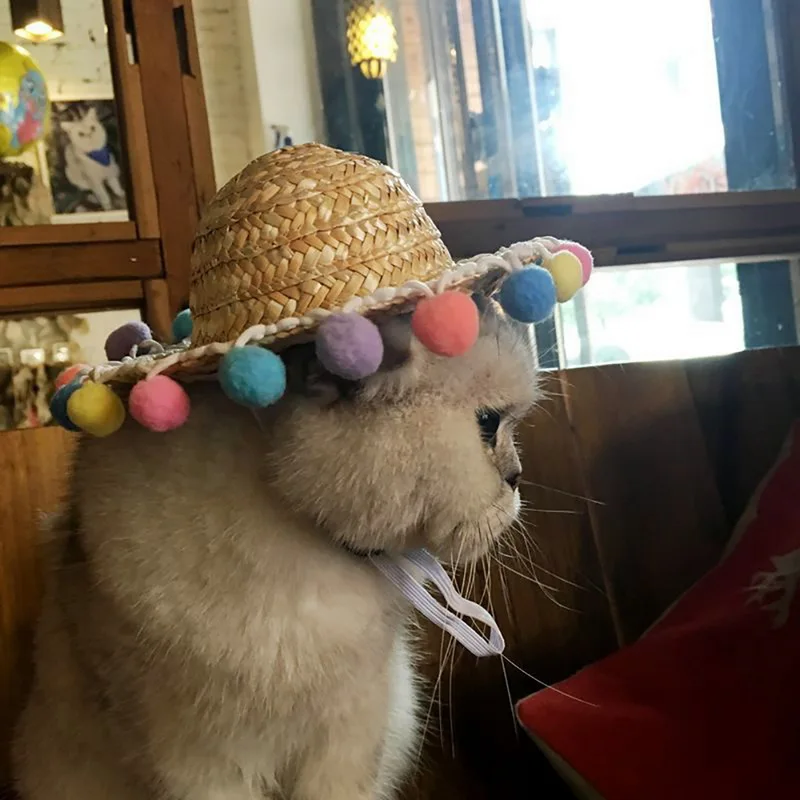 Urijk соломенная шляпа для питомцев, собак, кошек, летняя крутая модная уличная Защита от солнца, котенок, товары для щенков, аксессуары для питомцев, маленькие собаки, кошки