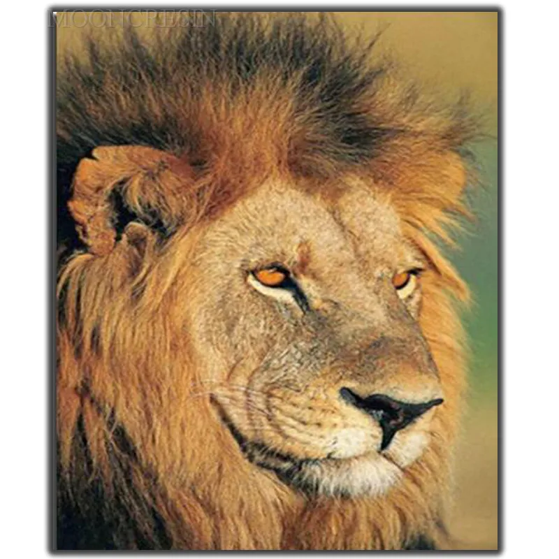 

5D Diy Diamond Painting Cross Stitch Male Lion Is Resting Needlework Diamond Embroidery Full Round Mosaic Decoration Resin Kits