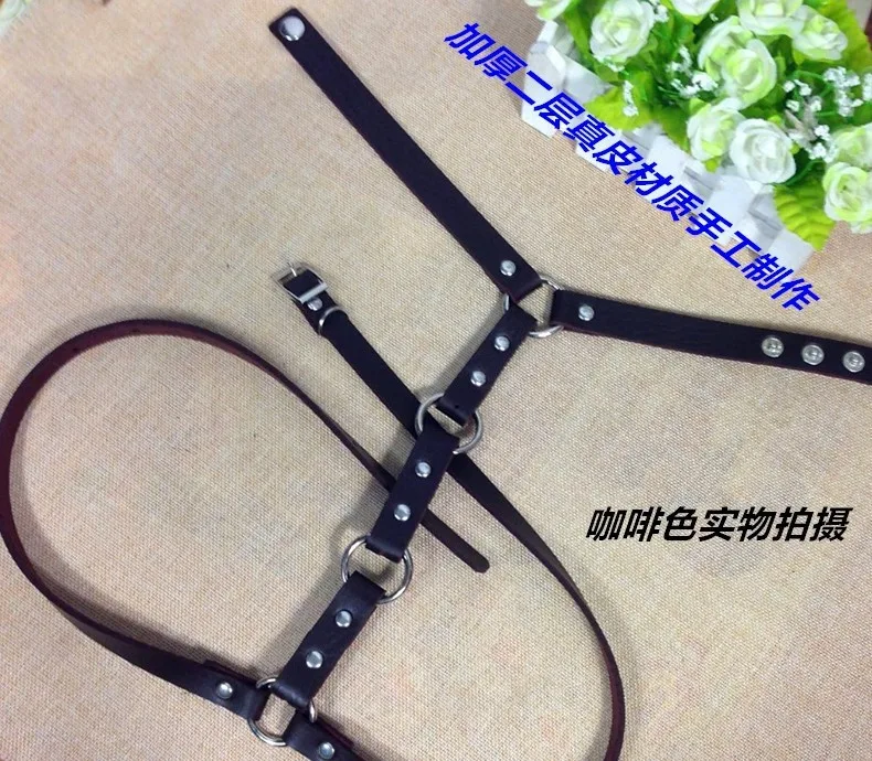 3054895511_1752587909