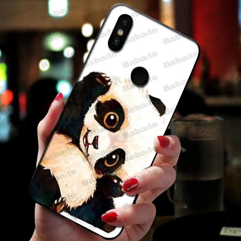 Cute lovely  teddy panda
