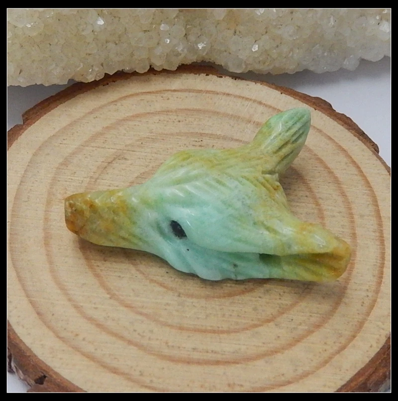 DSCN9956