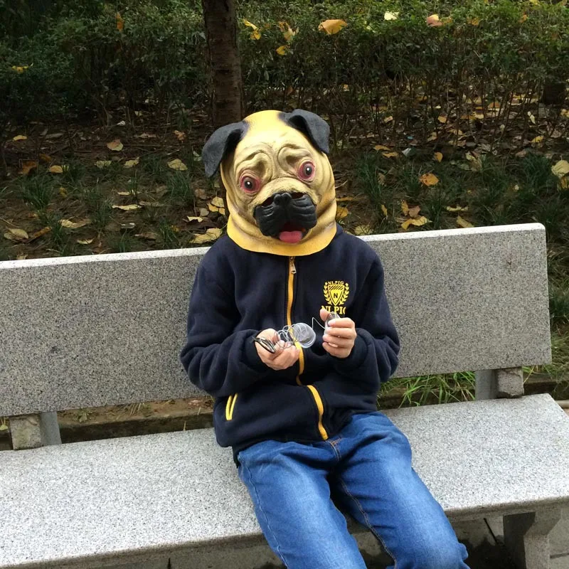 dog mask (6)