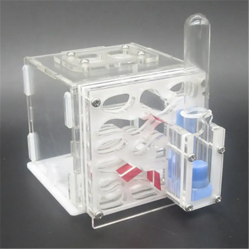 

Ants Farm 3 colors Acrylic Ant Nest Housing Formicarium for Ant Colony Living DIY Funny Insect Ant Nests 8x8x14.8cm