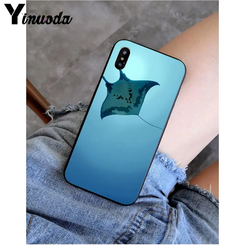 Animal manta ray