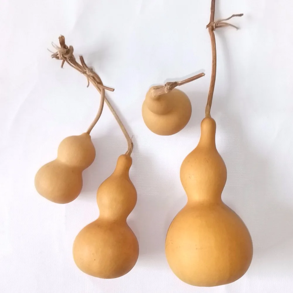 Buy 4 pcs Dried Natural Gourd Mixed Size Cucurbit