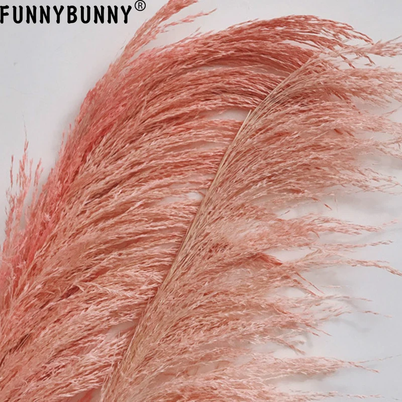 FUNNYBUNNY 1 шт. розовый тростниковый тростник сушеный цветок шипы сушеные цветы