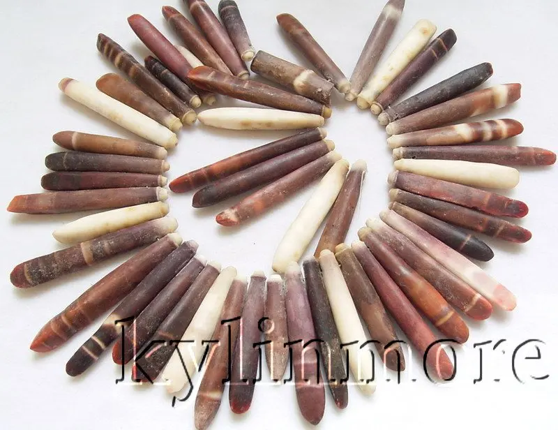 

10x50-10x70MM Spiral Shell Fancy Beads 15.5''