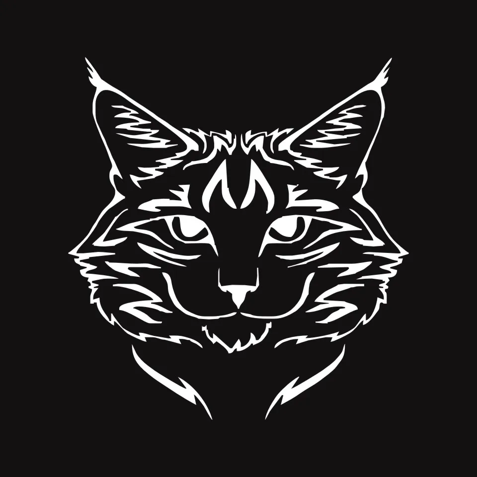 Anycuros Maine Coon Cat Breed Kitten Pet Animal Vinyl Decal Classic Cartoon Window Decoration Car Sticker 1415CM  (6)
