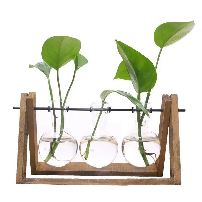 Растительный Террариум с деревянной подставкой стеклянная ваза держатель для украшения дома, Scindapsus контейнер
