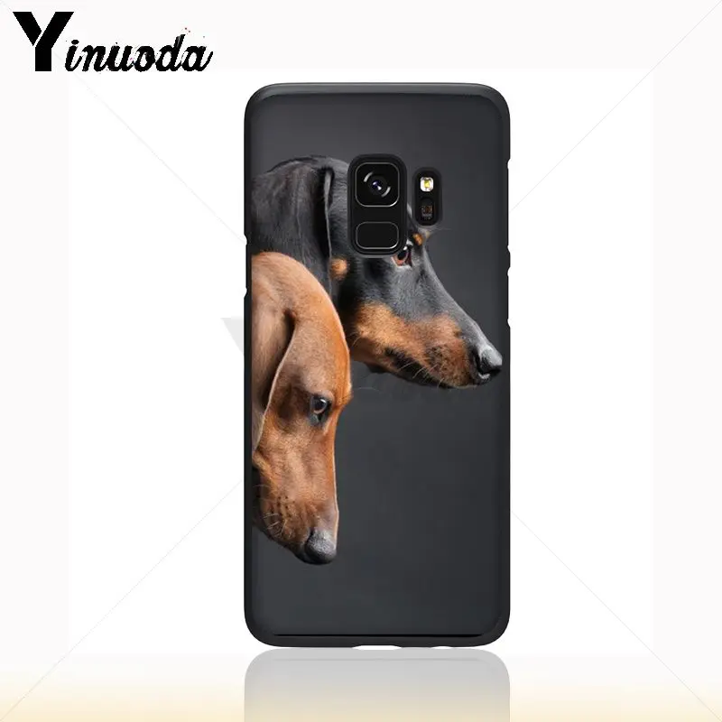 Dachshund Silhouette Dog