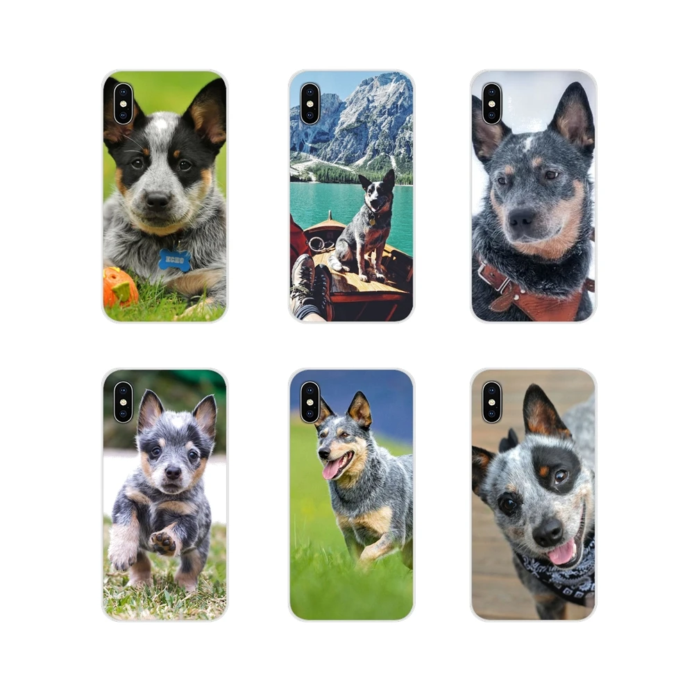 Australian Cattle Dog For Samsung Galaxy S3 S4 S5 Mini S6 S7 Edge S8 S9 S10 Lite Plus Note 4 5 8 9 Transparent Soft Shell Covers | Мобильные