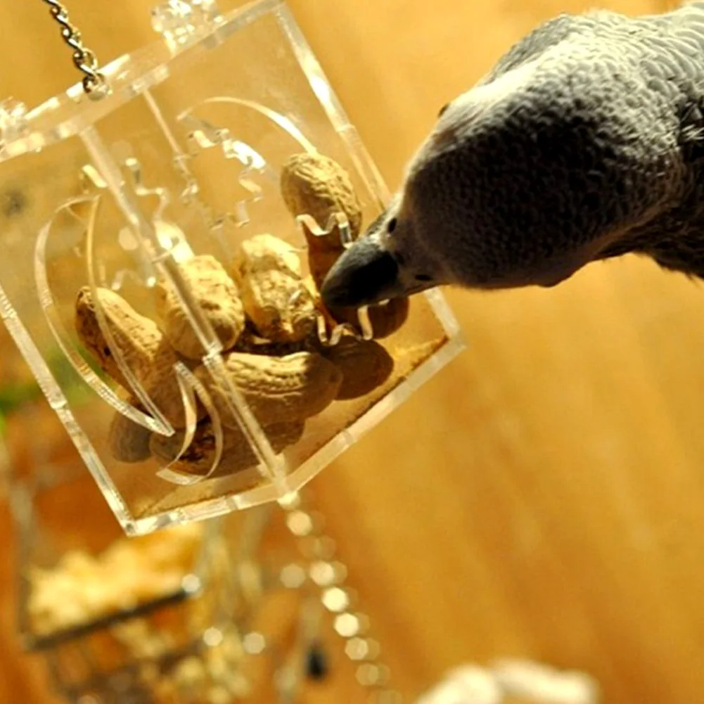

6*5*7.5cm Pet Birds Toy Parrot Bird Cage Feeder Hang Foraging Toys Pet Treat Hunt Macaw Cockatoo Acrylic Material Bird Toys