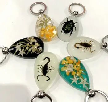 

FREE SHIPPING Discount Sale Creative 6 pcs mixed style G-1 keychain