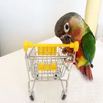 

PipiFren Parrots Toys For Bird Accessories shopping cart Cockatiel Perch Budgie Parakeet Decoration zabawki dla papug pappagallo