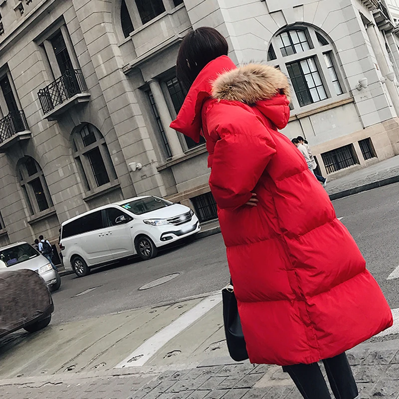 Big Real Raccoon Fur 2018 Winter Jacket Women Long Down Parka Female White Duck Down Jacket thick Warm Hooded Women Loose Coats