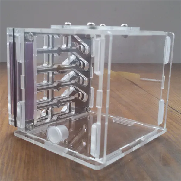 T2-Ant-nest (7)