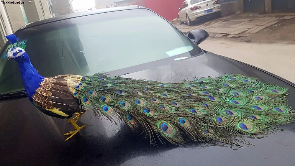 simulation bird beautiful feathers peacock hard model bird large 100cm peacock prop home garden,party decoration gift s1136