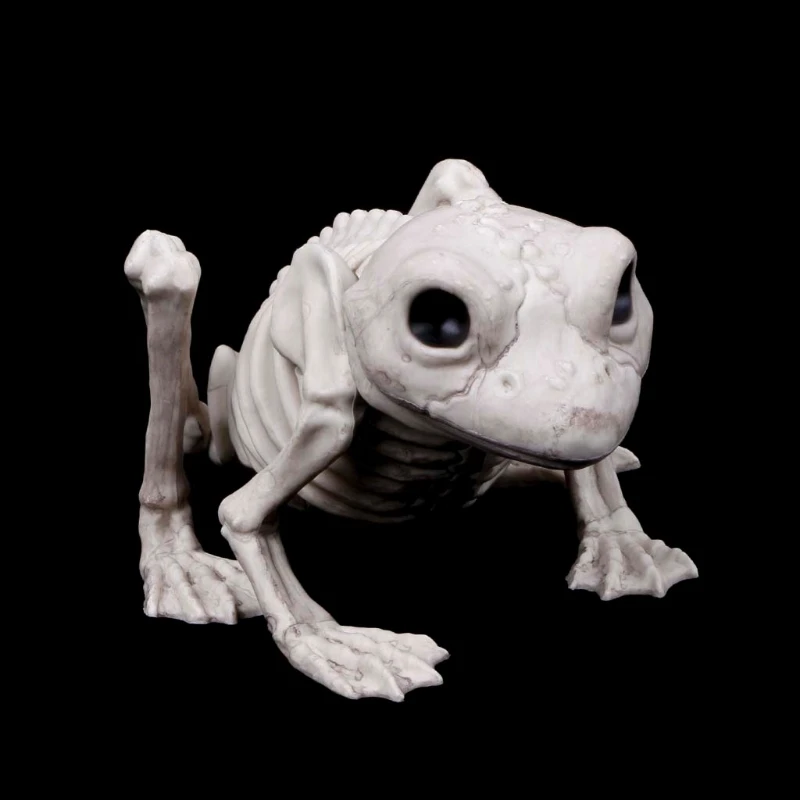 Halloween Animal Model Bat Bone Simulation Home Decoration Skull Halloween Animal Model Bat Bone Simulation Home Decoration Skull