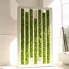 High quality artificial green plant immortal fake flower Moss grass home living room decorative wall DIY flower mini accessories ► Photo 3/6