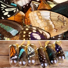 20 шт настоящие крылья бабочки, 3D образцы крыльев бабочки, настоящие высушенные крылья бабочки мотылька для кольца/сережек/ожерелья