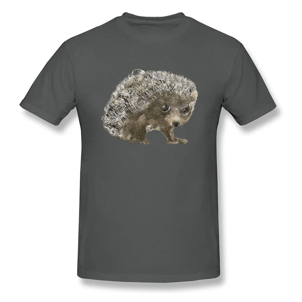 little hedgehog_carbon