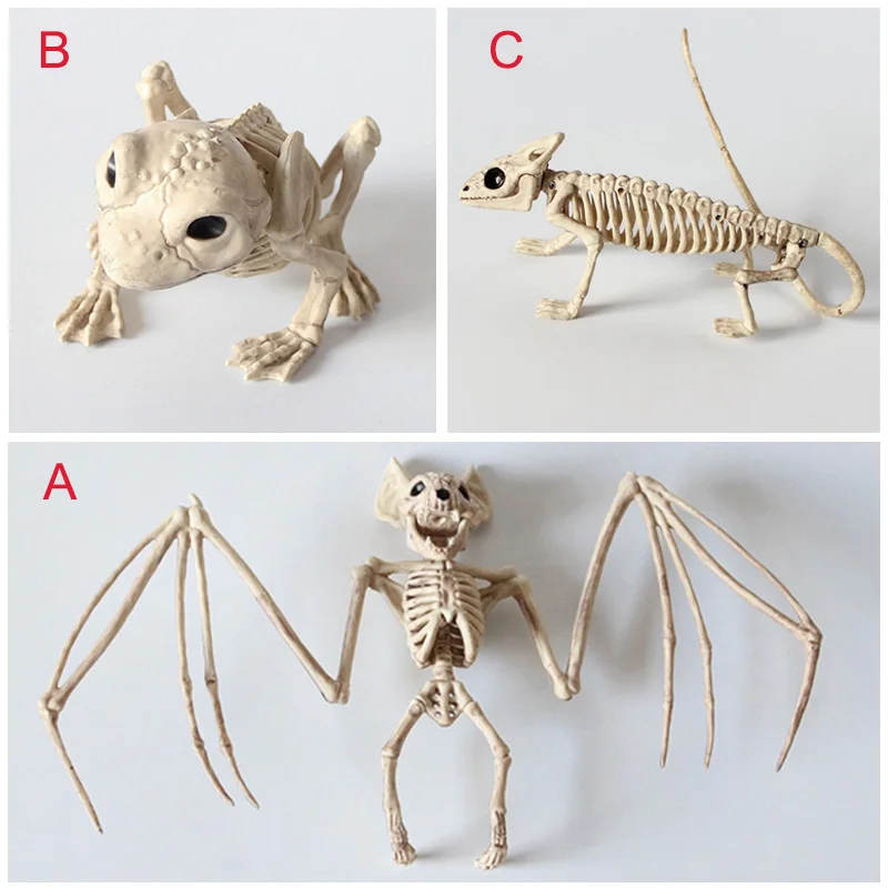 

Hot Animal Skeleton Model Bat/Frog/Lizard Bones Halloween Party Decoration LFD