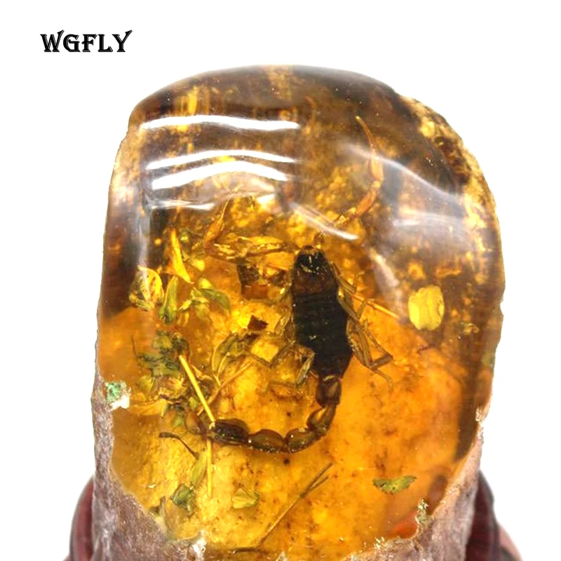 WG (10)