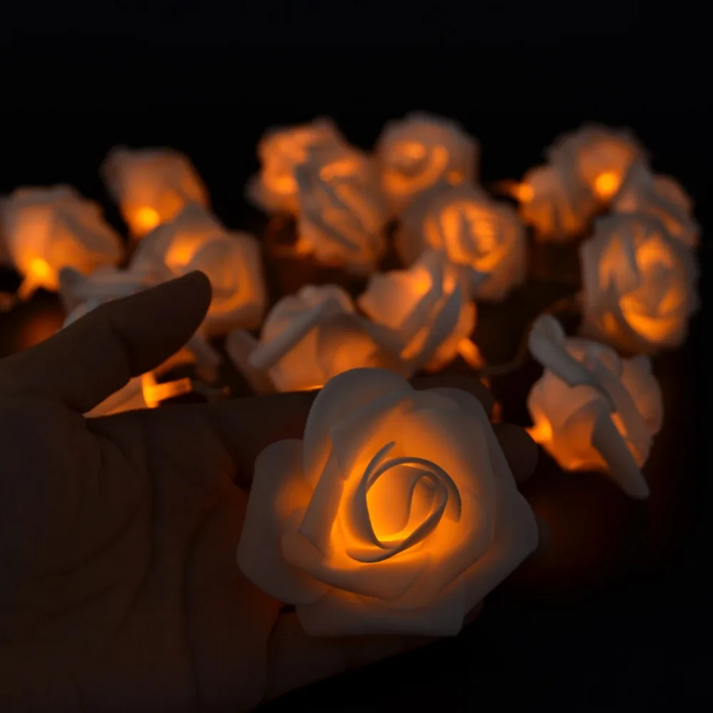 AA Battery Rose Orange (7)