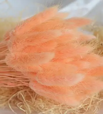 H671 20 шт натуральный кроличий хвост трава сушеные цветы красочные декоративные искусственные цветы - Цвет: light orange