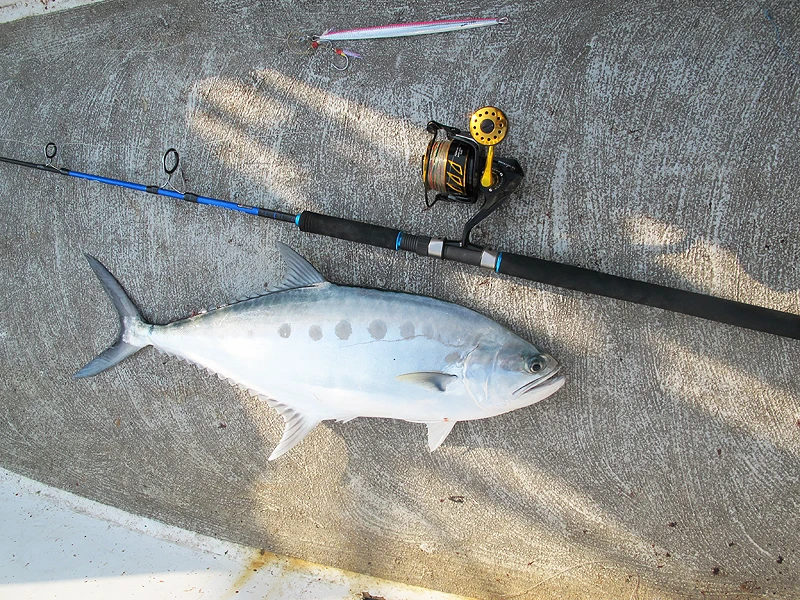 51