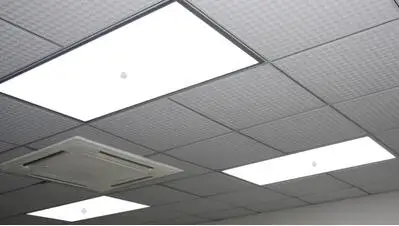 Led Integrated Ceiling Panel Lights Flat Lights Human Body