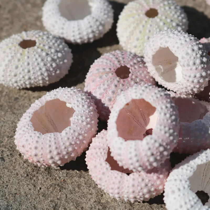 TB2g90NelfM8KJjSZFOXXXr5XXa_!!2634049628