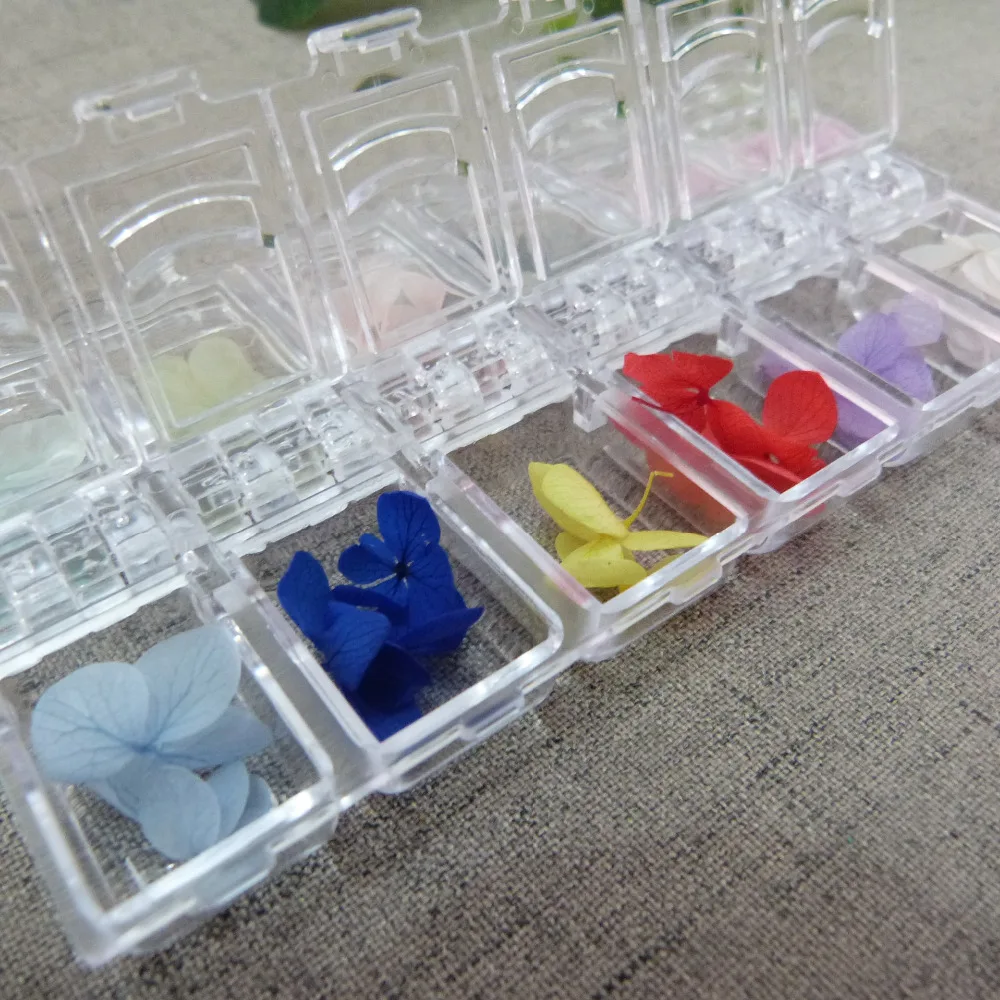 

new arrvial 36pcs/ box 12 mixed colors natural tiny dry flowers for diy decoration glass bubble bottle jewelry accessories