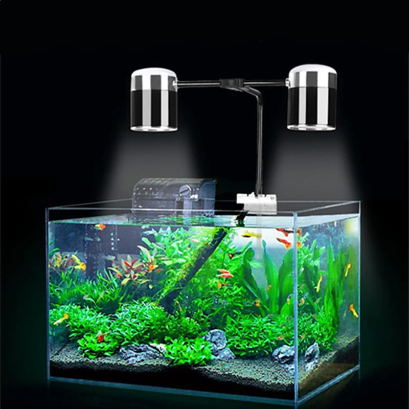 freshwater fish tank lighting