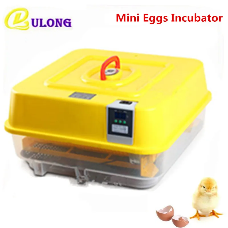 

Fully Automatic Mini Household Temperature Control Chicken Goose Duck Quail Multifunctional Brooder Auto Hatcher