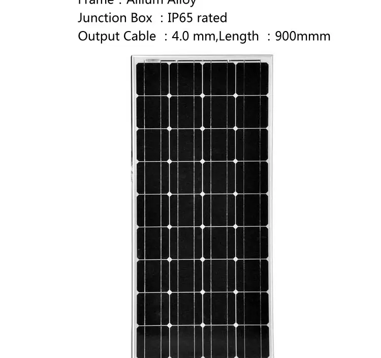 100W-1_02