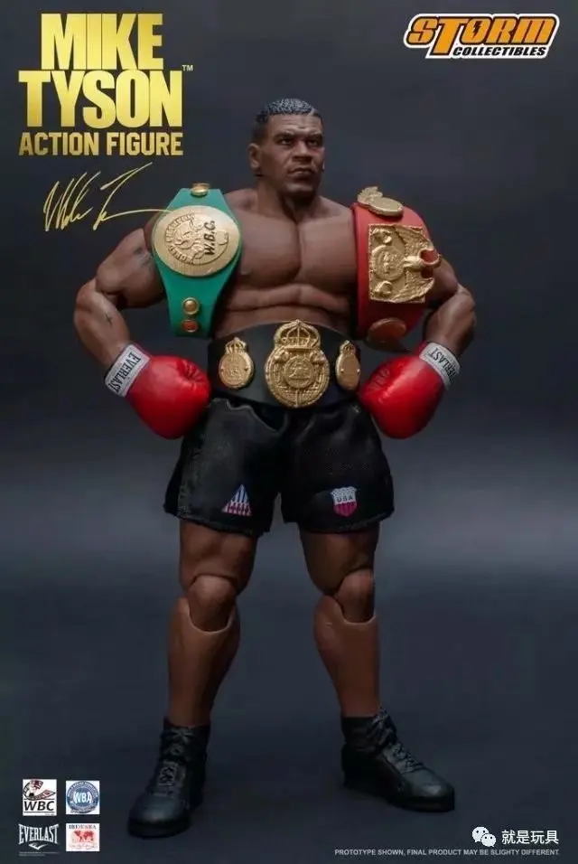 

StormToys 1/12 Boxing Tyson Boxer Champion Mike Tyson 8 inch 19cm joint movable Action Figure Three Head Face Model