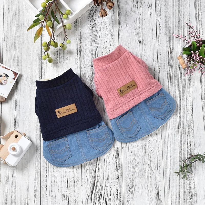 Autumn and Winter Newest Warm Dog Clothes Knitted Denim Skirt Clothes for Small Dog Two Feet French Bulldog Clothes Dog Dress
